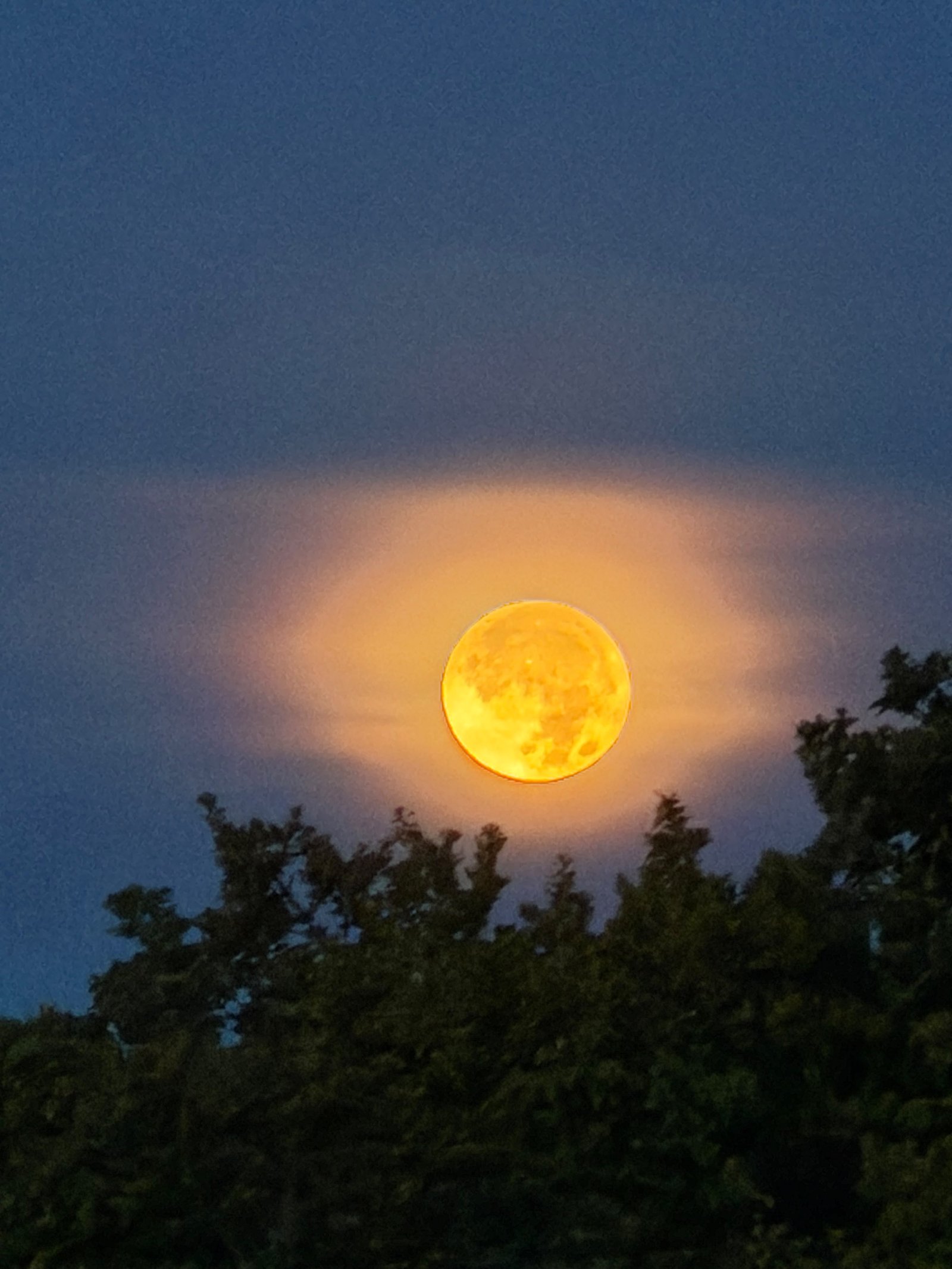 Luna en experiencia nocturna